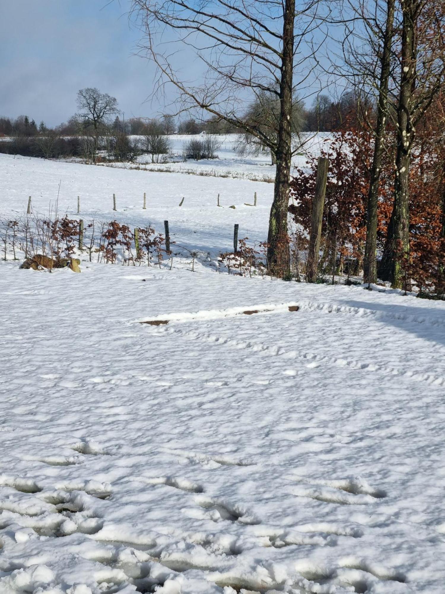 Gite Les 3 Pierres Houffalize Exterior foto